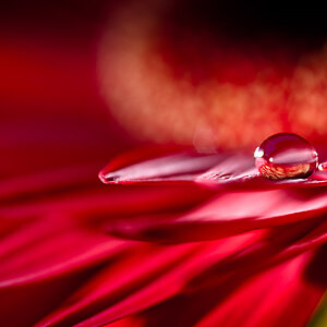 red pearl