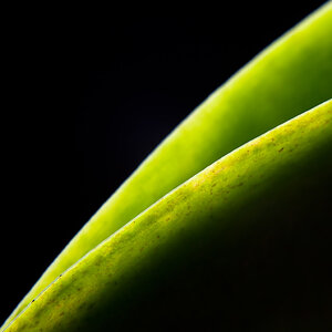 green line