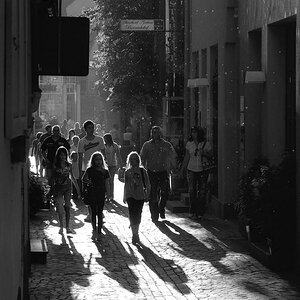 shadwalk2 DSC 19671
