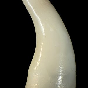 DSC06141