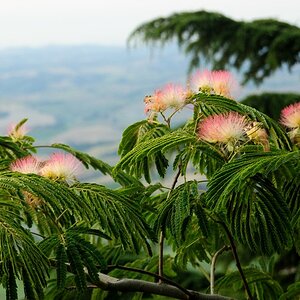 Toscana1