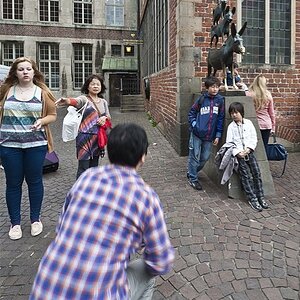 IMG 2266
