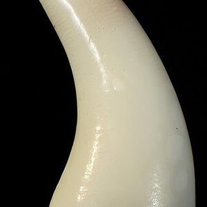 DSC06140