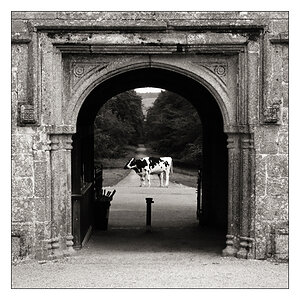 LanhydrockSC1q