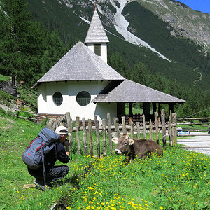 IMG 0684