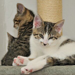 2012 07 08 5202  D300sA