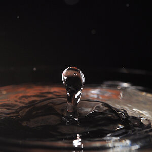 D90, Micro 60mm/2.8