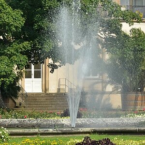 Schlosspark Pillnitz