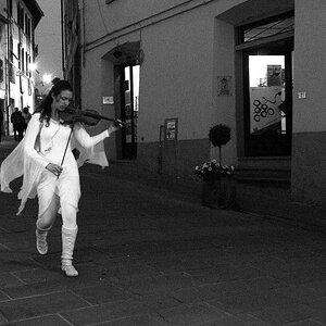 Geige bw  D7K2789 NX2