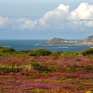 NQY landsend#3
