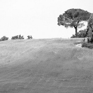 Toscana Landscape  D7K3115 IV sw NX2