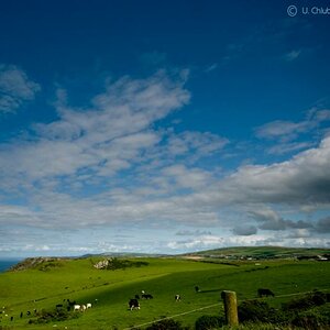 NQY tintagel landschaft