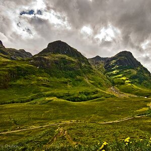 INV glencoe#2