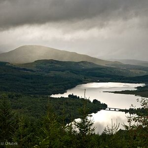 INV glen garry#1