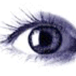 Auge1
