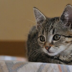 2012 07 29 6764  D300sA
