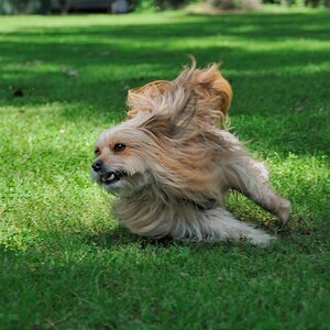 2012 07 08 5440  D300sA