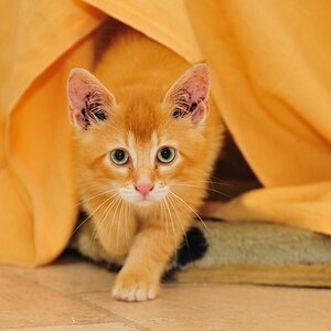 2012 07 08 5159  D300sA