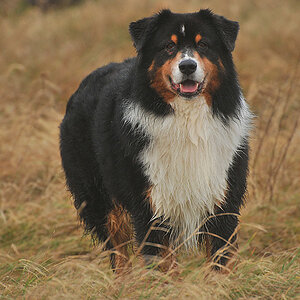 Quinn