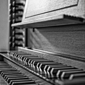 Orgel