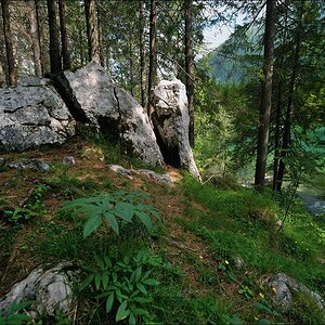 27.06.2012 - Zauberwald am Hintersee