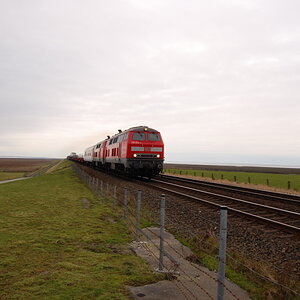2008 12 27 027klein