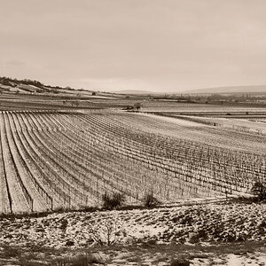 panorama in sepia