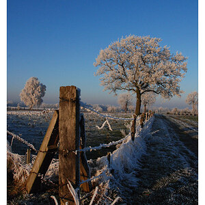 Winter Zaun