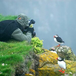 Island_2007