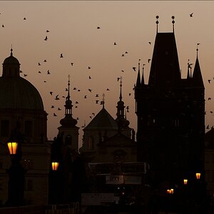 comp Prag 2009 0336aa