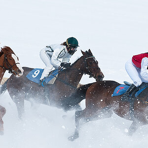 Gallopprennen im Schneespray