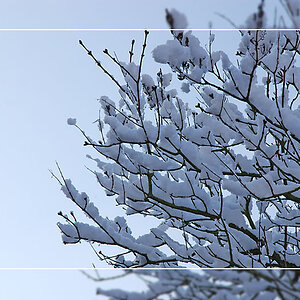 Schnee3