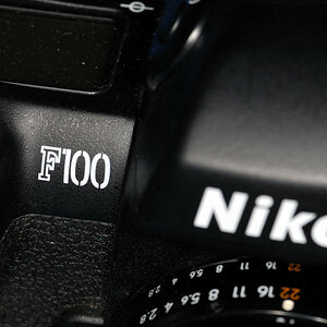 Nikon F100