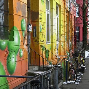 DSC 0251