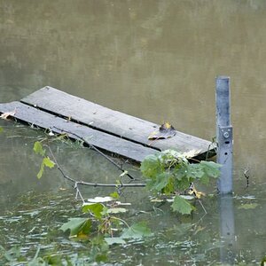 Hochwasser 2