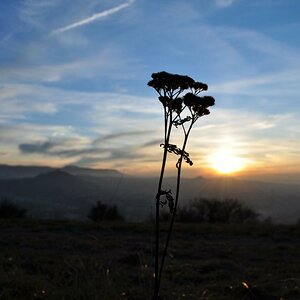 Sonnenuntergang von der Achalm
