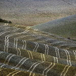 Crete Senesi #19