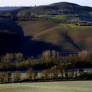 Crete Senesi #23