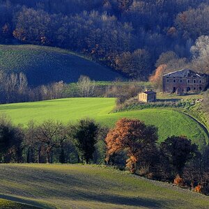 Crete Senesi #10