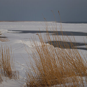 Februar 09