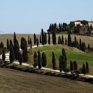 Crete Senesi #26