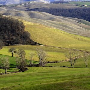 Crete senesi #27