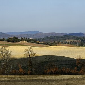 Chianti #1