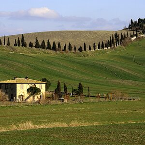 Crete Senesi #21