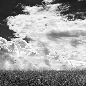 Photodesign Radloff 0480