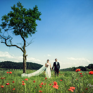 Photodesign Radloff 0590
