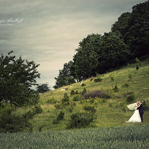 Photodesign Radloff 0320