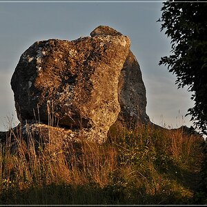 DSC 7711