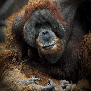 zoo DSC 9449