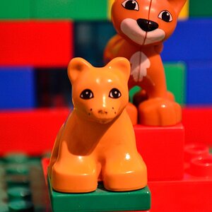 Evolution of Kitty   1024 px